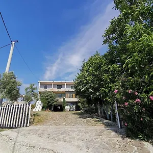 Bora , Gostime Albania